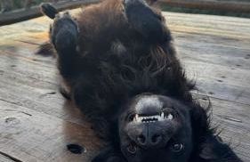 Eco Pousada Por do Sol - Foto 3