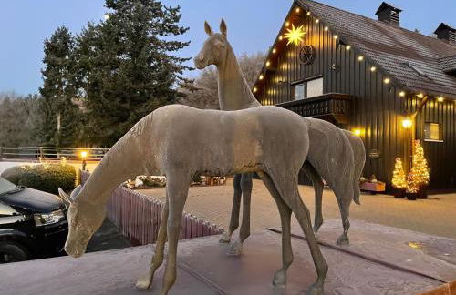 Auszeit am Hasenberg - Foto 17