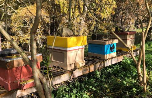 Drumguish Cottage - Foto 52