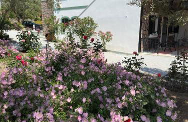 Elea Houses - Foto 9