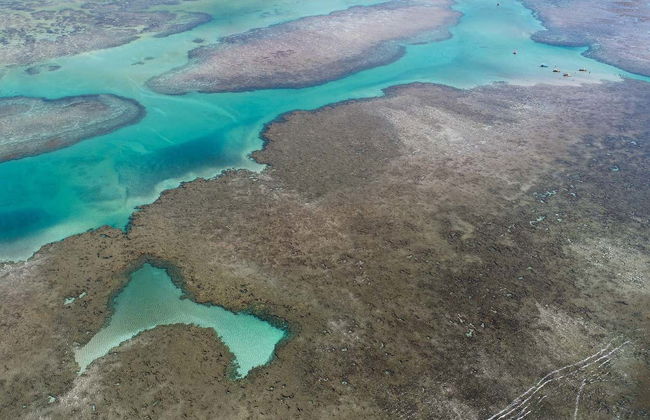 Escursione a São Miguel dos Milagres - Foto 3