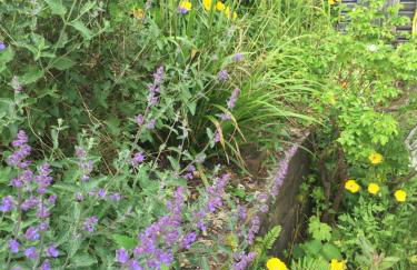 Character cottage in the heart of Uplyme. - Foto 25