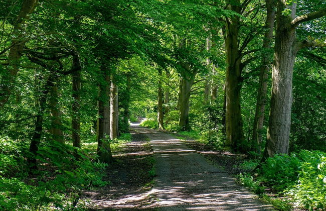 Chalet With Terrace Near Amsterdam - Foto 26