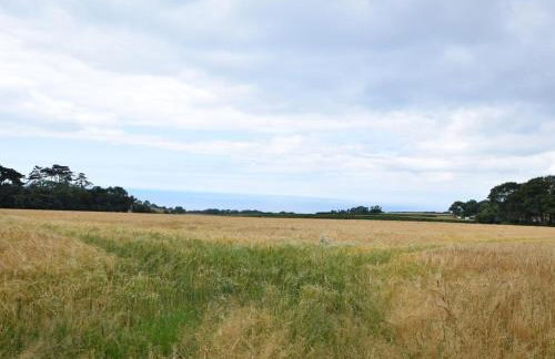 3 Bed in Lyme Regis oc-61809 - Photo 23