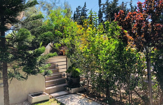 Azure House at Lagonissi - Foto 36