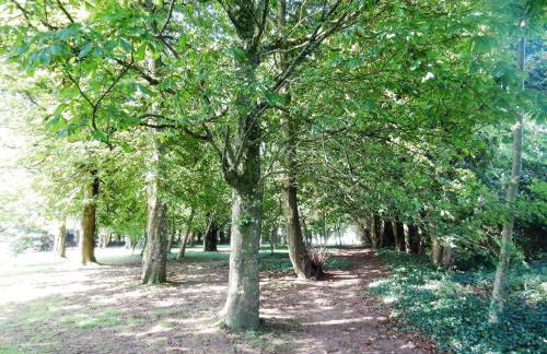 Dartmouth Chalet Holidays - Foto 31