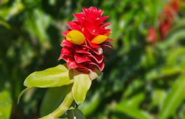 Comfort Location Reasonable Price 2 blocks 2 the beach - Foto 61