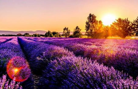 Canal Greco - Foto 26