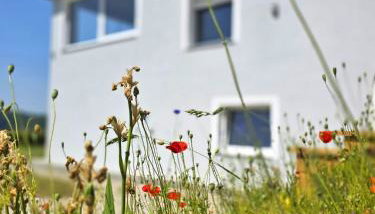 Ferienhaus am Thüringer Meer - Foto 2, Garden view
