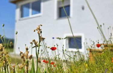 Ferienhaus am Thüringer Meer - Foto 1