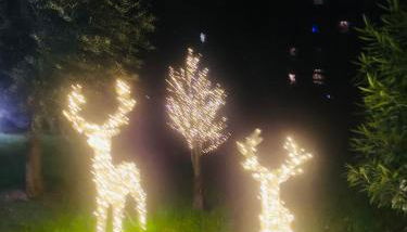 Milano relax family house - Photo 3