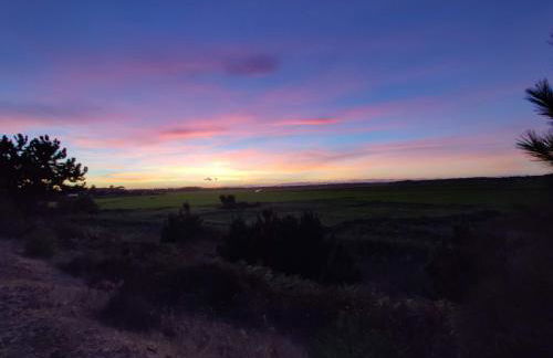 Casa da Duna, Carvalhal, Comporta - Foto 29