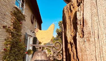 Bernstorfshof - Foto 5, Garden