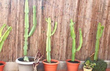 Apartamento Valencia - Foto 51