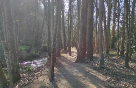 Atico Cuntis Thermae - Photo 10