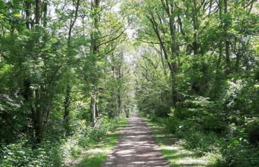 Ferienwohnung Am Ostfriesland-Wanderweg - Foto 22