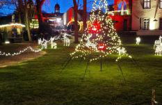 Ferienwohnung Brohltal-Aue - Foto 48