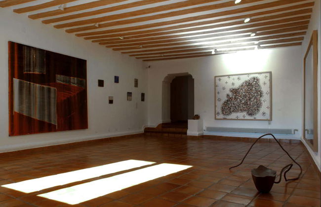 Visita guidata della Fundación Antonio Pérez - Foto 3