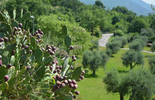 Residence San Michele - Foto 84