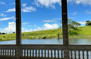 Nega Joana - Foto 22