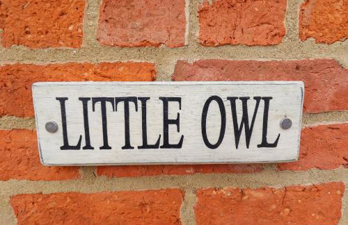 Little Owl - Foto 33