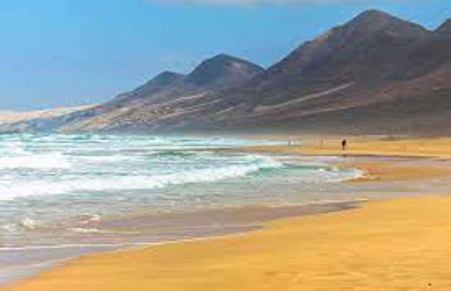 Comfortable 1-bed Bungalow in Parque Holandés - Photo 36