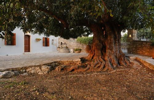 Villa Nikolaos - Foto 45