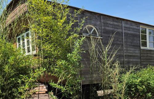 Haus Evelynchen auf Rädern Deutschhof - Photo 17