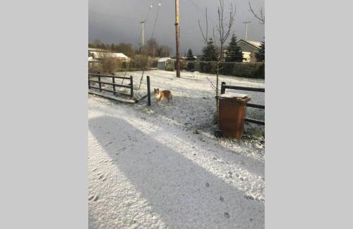 The Byre (Unusual and Different). - Foto 46