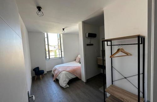 3 pièces spacieux plein centre, parking,clim, terrasse, jardin - Foto 12