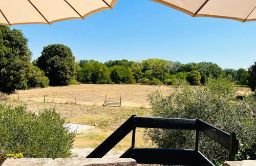 La Madeleine Arles - Foto 69