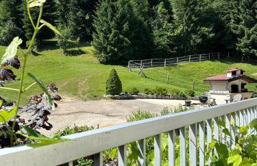 Gîte le Frêne - Foto 9