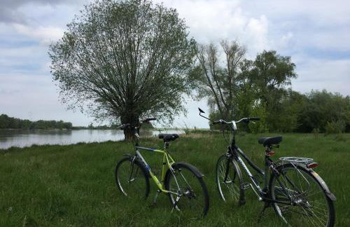 Agroturystyka Kobylnica nad Wisłą - Foto 65