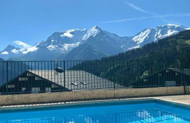 Studio cabine Au Loup Blanc avec vue Mont Blanc - Foto 18