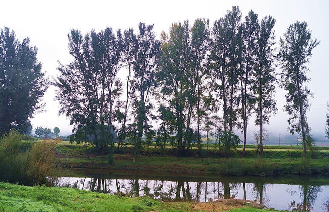 Villa Le Poggiola - Foto 43