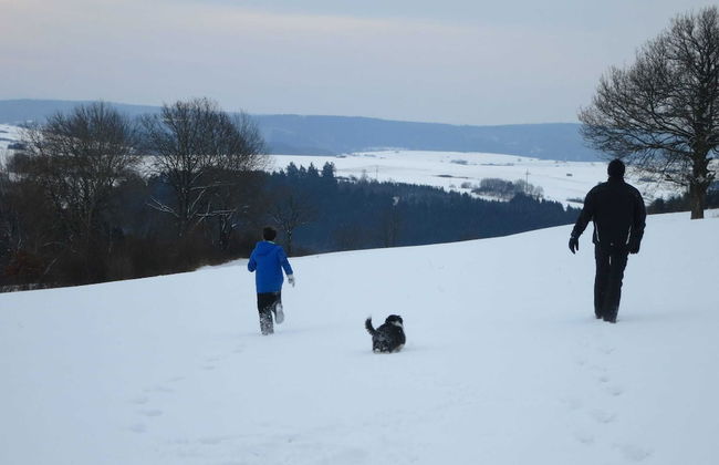 Gruppenfreundliche Villa in Liesen - Foto 35