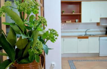 La Alberquilla Alojamiento Rural - Foto 34