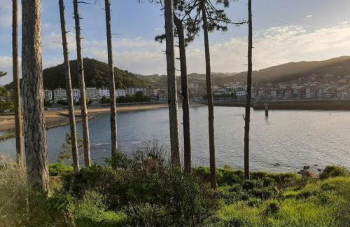 Pequeño apartament rural con un gran jardin. WIFI - Foto 25