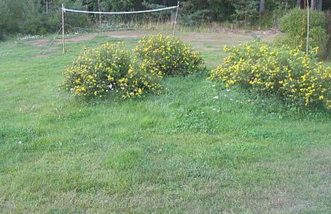 Honkaharju - Foto 26