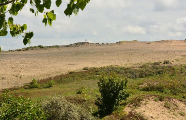 Oostduinkerke Forestside Villa - Foto 37