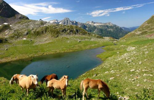 Design Suite Cavagna - Foto 43