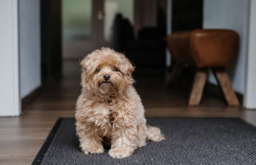 Uns Langhus - Foto 37