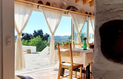 Natur Amêndoa - Foto 1