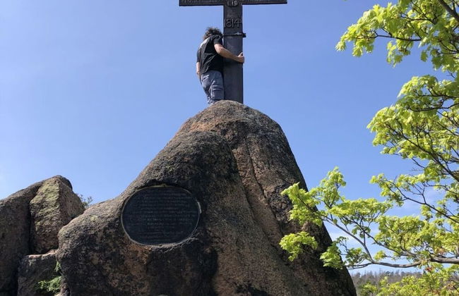 To Salamander No. 15a - Foto 13