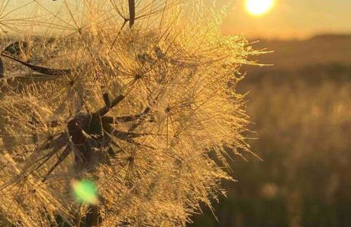 House - Free Parking & Sea Views - Foto 39