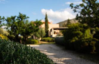 Villa Rosa with private pool, Athens Riviera - Foto 26