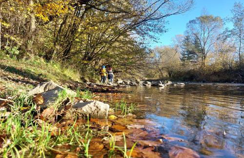 Bieszczady Beztroska Chata - Foto 42