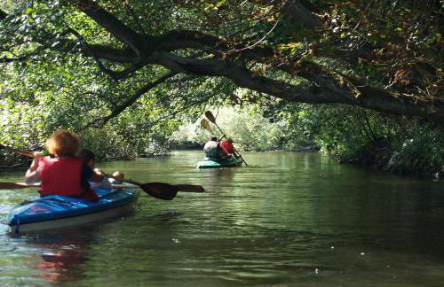 Apartament w Drawsku - Foto 28