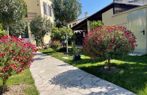 Les palmiers - Foto 11