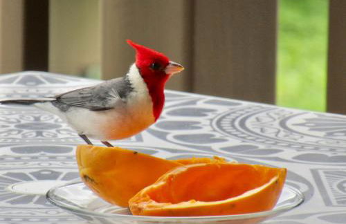 This is Paradise! - Foto 18